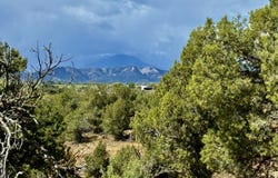 2403 Wrangler Way, Durango, CO 81301