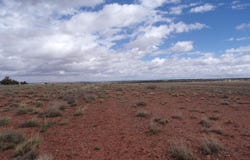 ACR 9040, Concho, AZ 85924