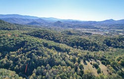 Taproot Way, Newport, TN 37821