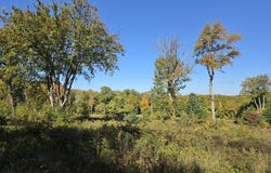 South Rd lot: 5A, Hampden, MA 01036