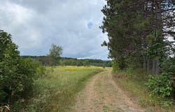 W15976 QUARTER DR, Goodman, WI 54125