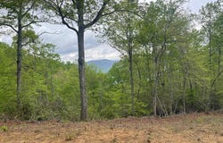 Copperhead Cove lot: 7, Sylva, NC 28779