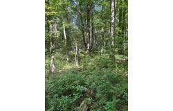 3250 W Isabella Road, Shepherd, MI 48883