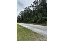 NE 303rd Ave, Old Town, FL 32680