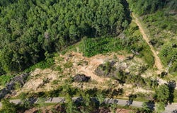 821 Southeast St. (Lot 3), Baldwyn, MS 38824