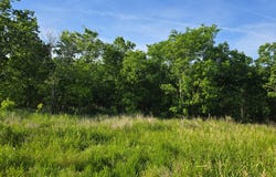 036 Quail DR & E0540Rd, Pryor Creek, OK 74362