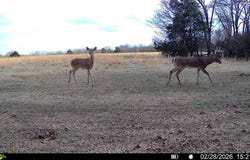 Keota, OK 74941