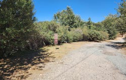 522 Elder Drive, Cedar Glen, CA 92321