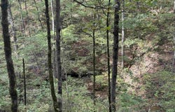 HWY 65, Clinton, AR 72031
