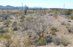 Encinitas, Searchlight, NV 89046
