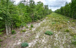 Charleston Highway, Williston, SC 29853