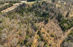 Hwy Mm lot: 3, Gainesville, MO 65655
