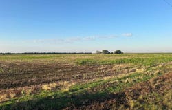 Co Rd PNCO, Rozel, KS 67574