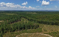 Cedar Creek, Lonsdale, AR 72087