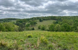 Co Rd 321 Route 5, Ava, MO 65608