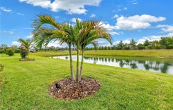 8217 TRIMBELLE, PARRISH, FL 34219