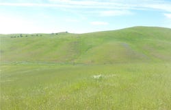 Douglas Rd. (Lot 43), San Miguel, CA 93451