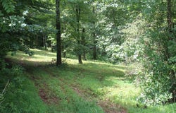 141 Cherokee Drive, Lucas, KY 42156