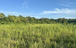 Hwy 62, Blakely, GA 39823