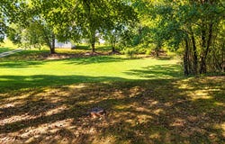 64 Lester Street, Bakersfield, MO 65609