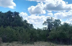 612 calvin barrett, Blanco, TX 78606