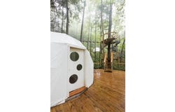 242 Cave Holw Road, Campton, KY 41301