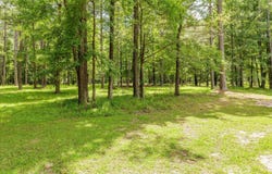 1 Harding Court, Evans, GA 30809