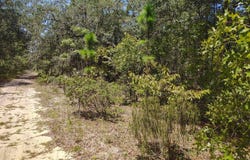 Sumac St, Interlachen, FL 32148