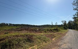 Pate Road, Tremont, MS 38876
