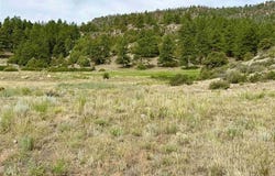 580 Rio Grande Club Trail, South Fork, CO 81154