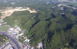 Maguayo, Dorado, PR 00646