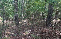 DIXIE SPRINGS Rd, Oakman, AL 35579