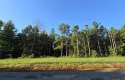 County Road 200, PITTSBORO, MS 38951