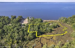 452 Indian Bluff Drive, Arapahoe, NC 28510