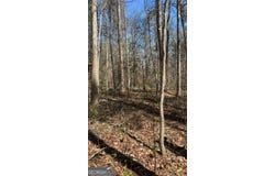 Poplar Mountain Lane, Carnesville, GA 30521