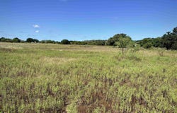 Buffalo Spring Circle, Valley Spring, TX 76885