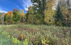 W11303 CTH W, Phillips, WI 54555