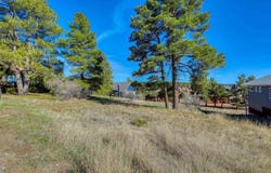 51 Trap Court, Pagosa Springs, CO 81147