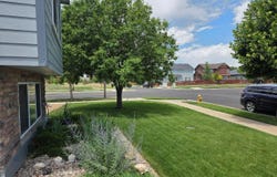 3445 Yule Trail Dr, Fort Collins, CO 80524