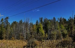 VL Afton Road, Wolverine, MI 49799