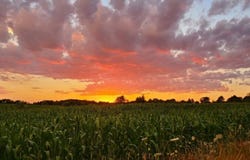 7615 Pleasant Hill Road, Ellsworth, MI 49729