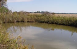 State Route 37 E, Sunbury, OH 43074