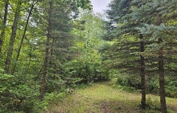 3900 N M 30 Road, Gladwin, MI 48624