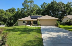 3153 N Chandler Drive, Hernando, FL 34442