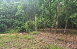 0 MAGNOLIA DR, Georgetown, GA 39854