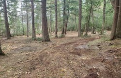 Old Plank Road, Au Train, MI 49895