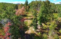 168 Wedgewood Drive, Dover, TN 37058