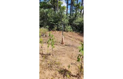 Modock Dr, Bastrop, TX 78602