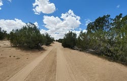 Witch Well Ranches, St. Johns, AZ 85936