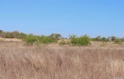 435 County Road 7715, Devine, TX 78016